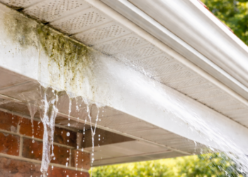 Soffit & Fascia Cleaning