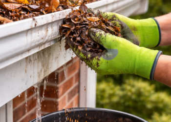 Gutter Cleaning